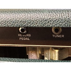 Cowface Amplification Club 60 Deluxe “ Custom Order” - British Race Green (MINT CONDITION )