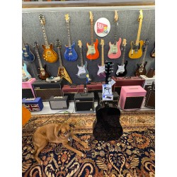 Stonewood Guitars DN TSB w/ Fishman Preamp GT 2 Tobacco Sunb BUNDLE ( Metronomo+ Capo)