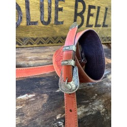 BLUE BELL Monterrey 1967  Pink Artisan