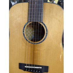 GUIT ACUST GOLD MINI W/CASE