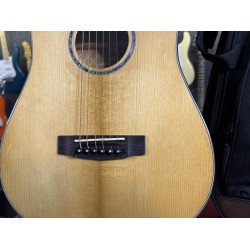 GUIT ACUST GOLD MINI W/CASE