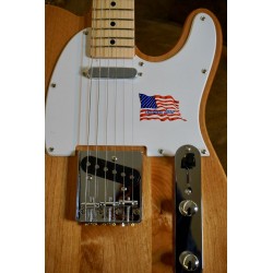 SX Guitars STL/ALDER/NA American Alder Tele Natural