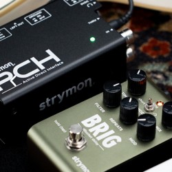STRYMON PCH ACTIVE DIRECT  ( Stock Real NO Virtual)
