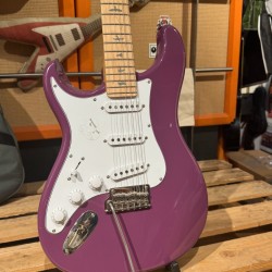 GUIT ELEC. SE SILVER SKY MAPLE