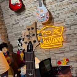 PRS GUITARS LEFTY SLATE BLUE CUSTOM 24 Super Curly Top ZURDA GAUCHER  2026 EN STOCK REAL NO VIRTUAL