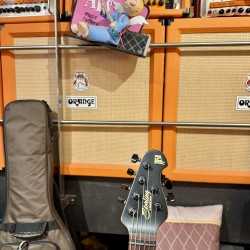 STERLING by Music Man Guitars JP 50 Custom Artwork “ SILVER SKULLS”  EXCLUSIVE for Al’s Music Factory