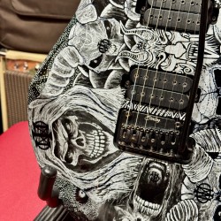 STERLING by Music Man Guitars JP 50 Custom Artwork “ SILVER SKULLS”  EXCLUSIVE for Al’s Music Factory