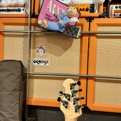 STERLING by Music Man Guitars JP 50 Custom Artwork “ SILVER SKULLS”  EXCLUSIVE for Al’s Music Factory