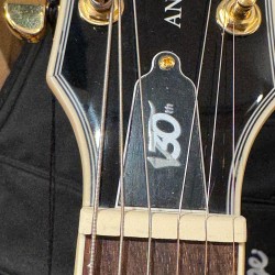 Vintage Guitars V100 30 ANNIVERSARY/ ANIVERSARIO  GREEN BURST W/ Bag