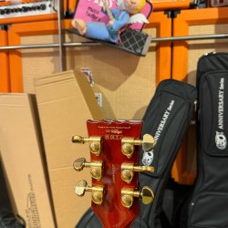 Vintage Guitars V100 30 ANNIVERSARY/ ANIVERSARIO  GREEN BURST W/ Bag