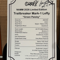 Guitarra Eléctrica Oopeg Guitars Supreme Colection Trailbreaker Mark I "Old Garage Stock" Green Paisley  LEFTY ZURDA