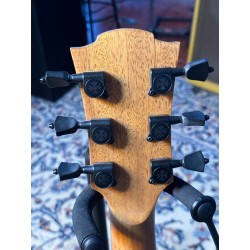 LAG T400 DCE Stage  Dreadnought Cutaway