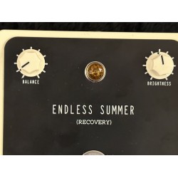 Recovery Effects Endless Summer Spring Reverb - Black & White