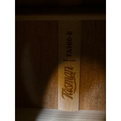 TASMAN GUITARS TA 300 E Dreadnought w/ Fishman Presys Plus