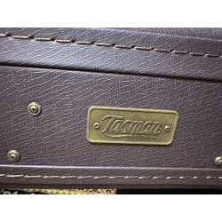 TASMAN GUITARS TA 300 E Dreadnought w/ Fishman Presys Plus